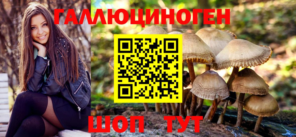 Стрежевой  Псилоцибиновые грибы GOLDEN TEACHER  Псилоцибиновые грибы мицелий  Вход с VPN 